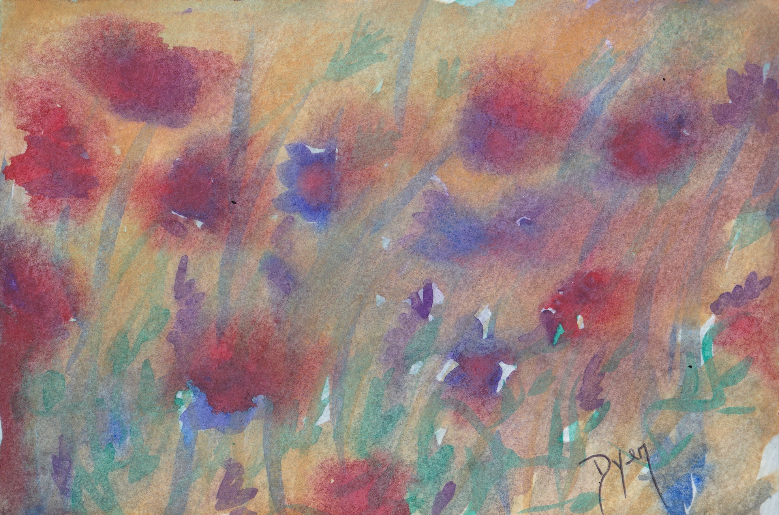 Wildflowers trail ride.jpeg