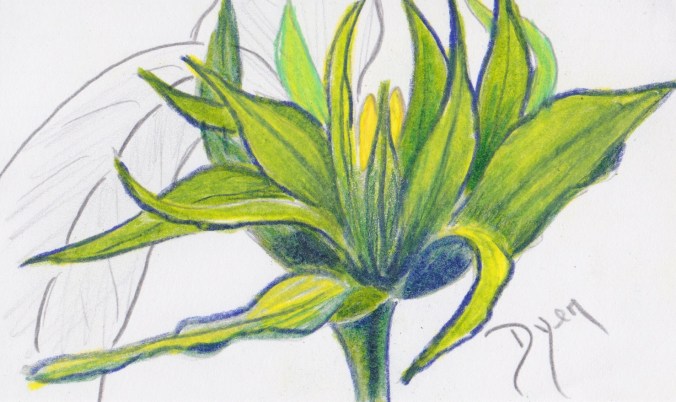 Index card 2017 11 off prompt.jpeg