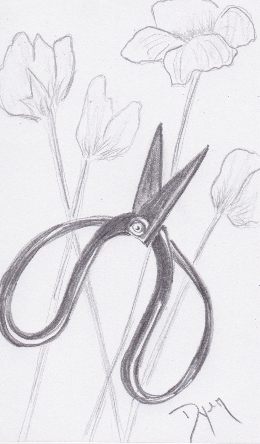 Index card 2017 19 Gadget.jpeg