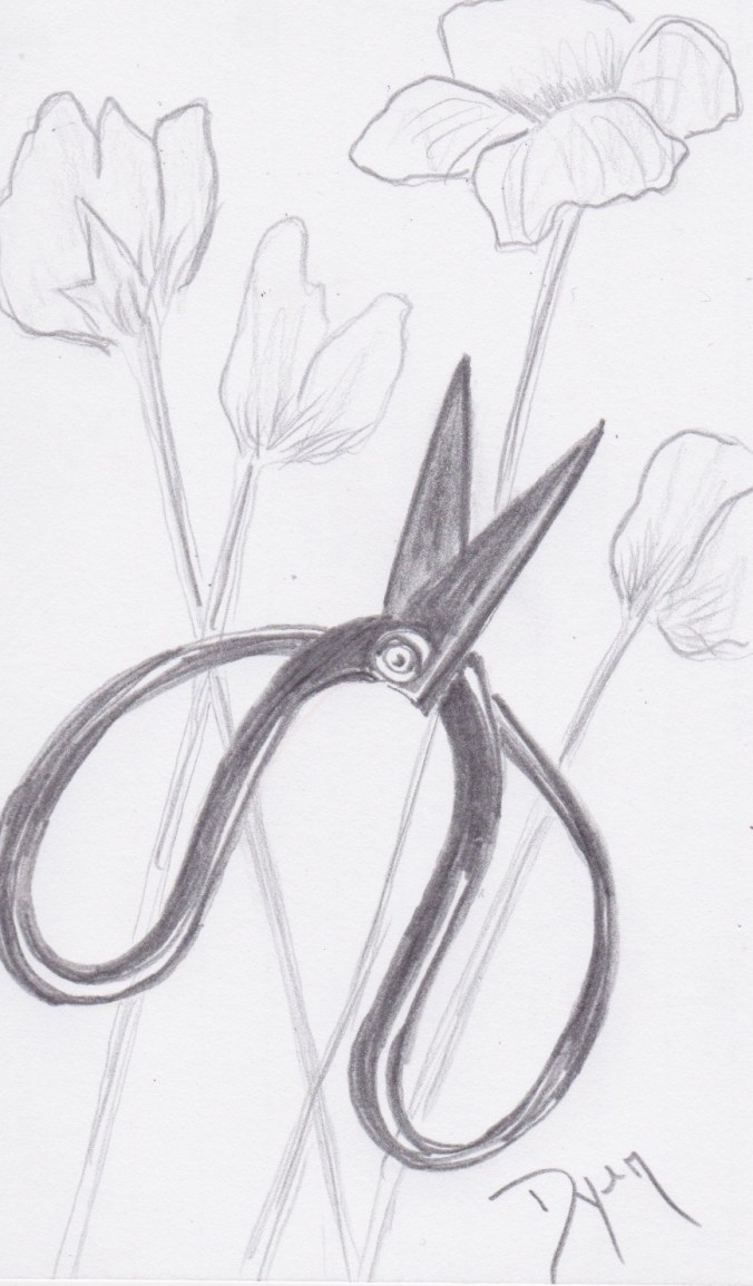 Index card 2017 19 Gadget.jpeg