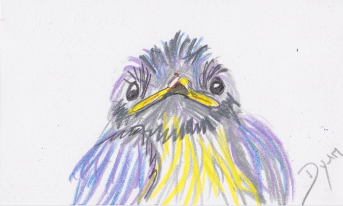 Index card 2017 5 cute .jpeg