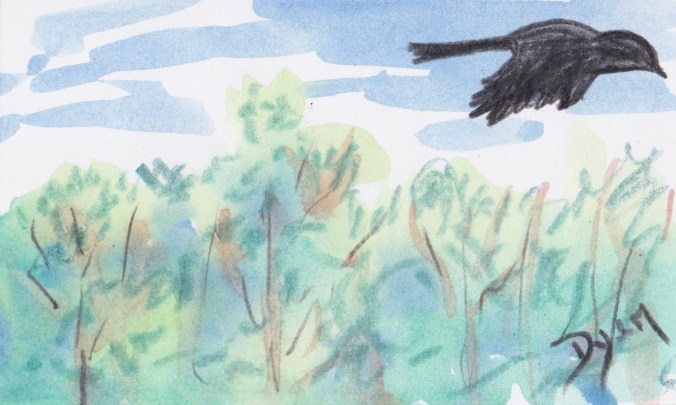 Index card 2017 6 detour.jpeg