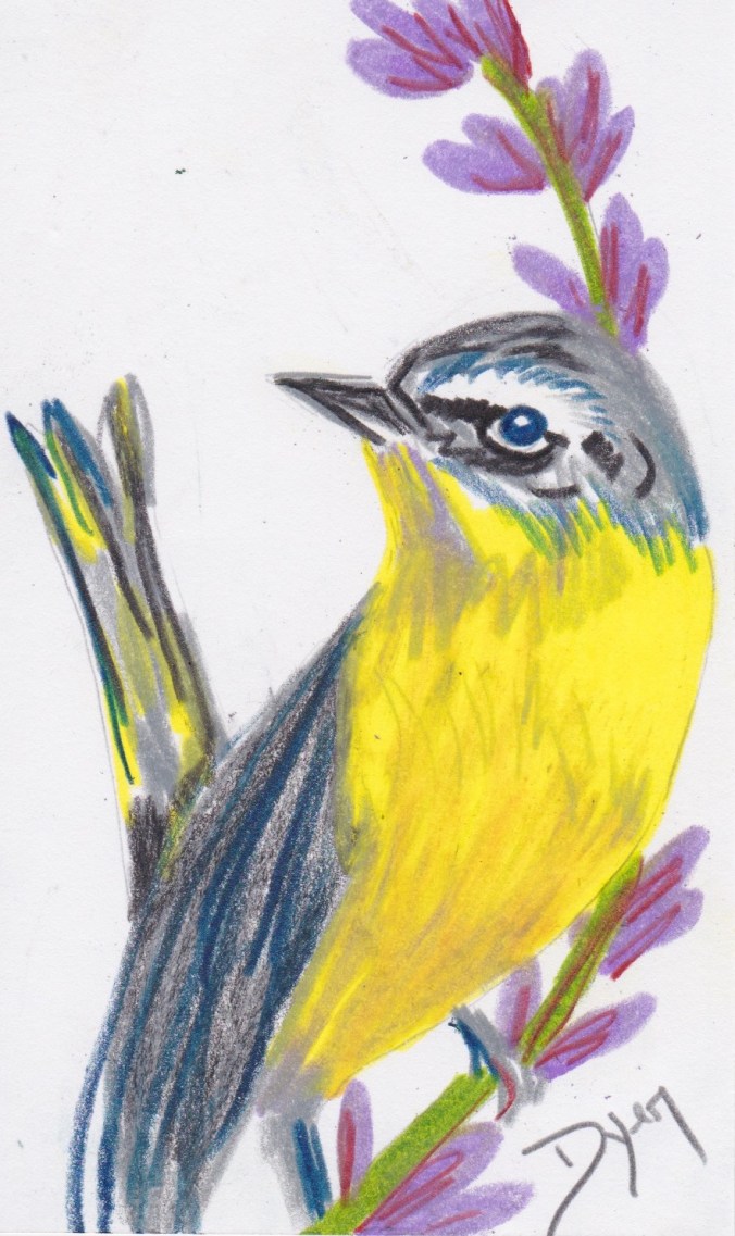 Index card 2017 lavender.jpeg