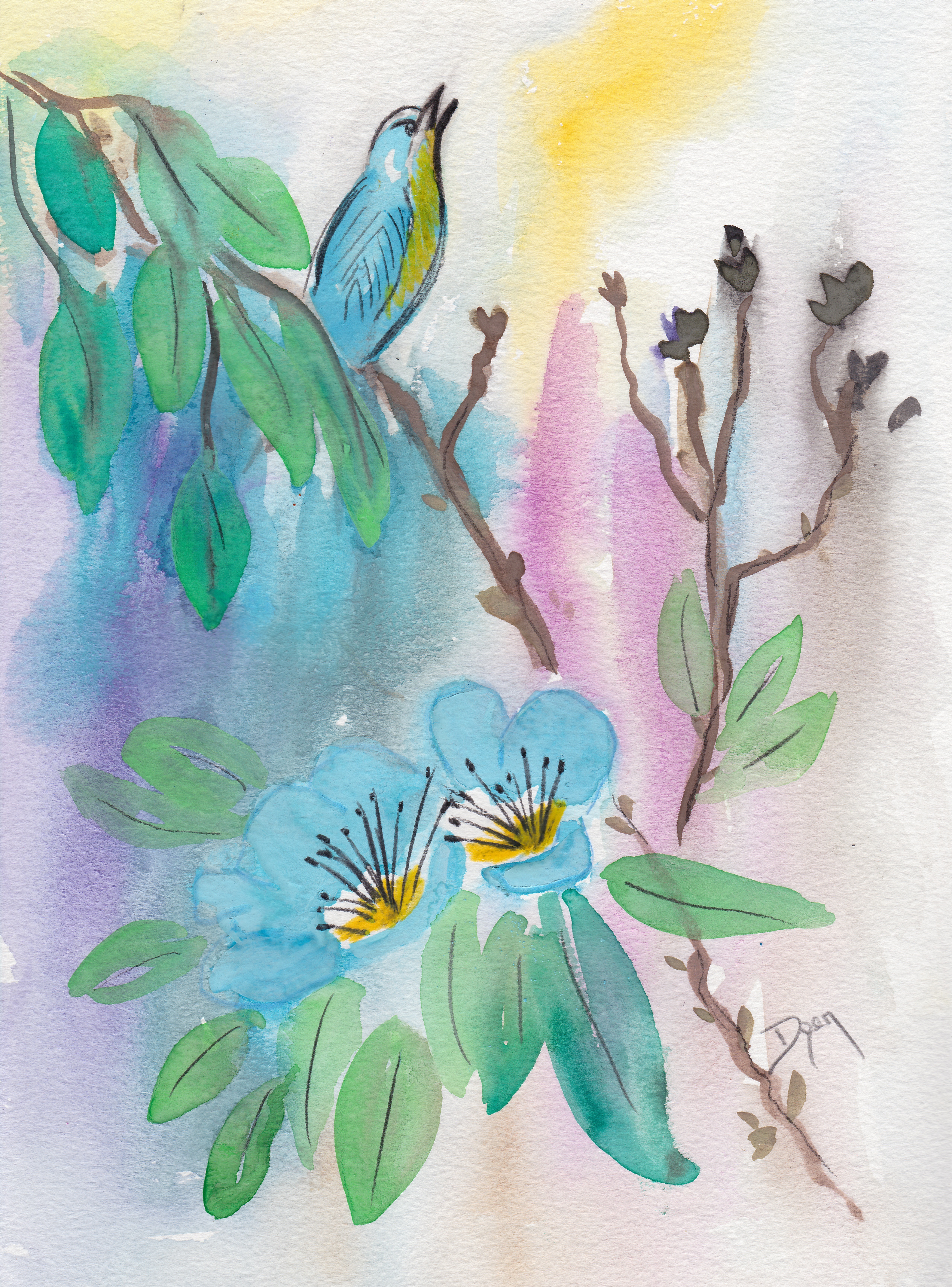 Rain Forest Morning 72.jpg