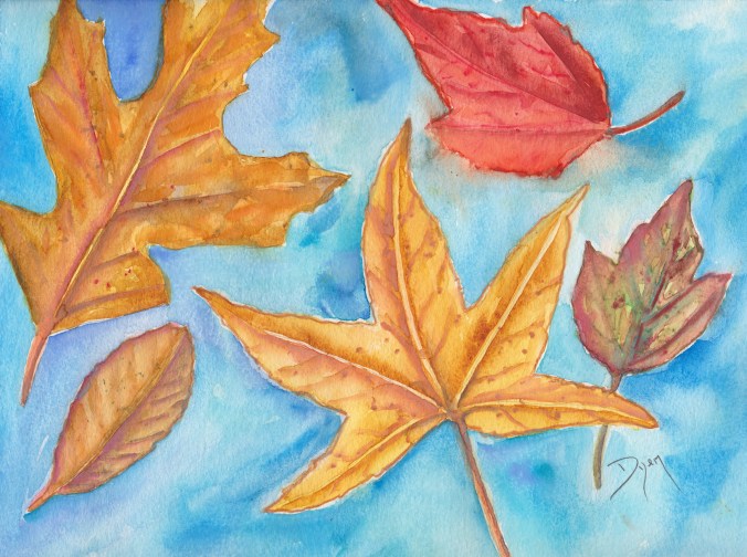 trees fall leaves.jpg