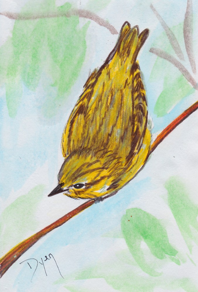 Bird perspective.jpg