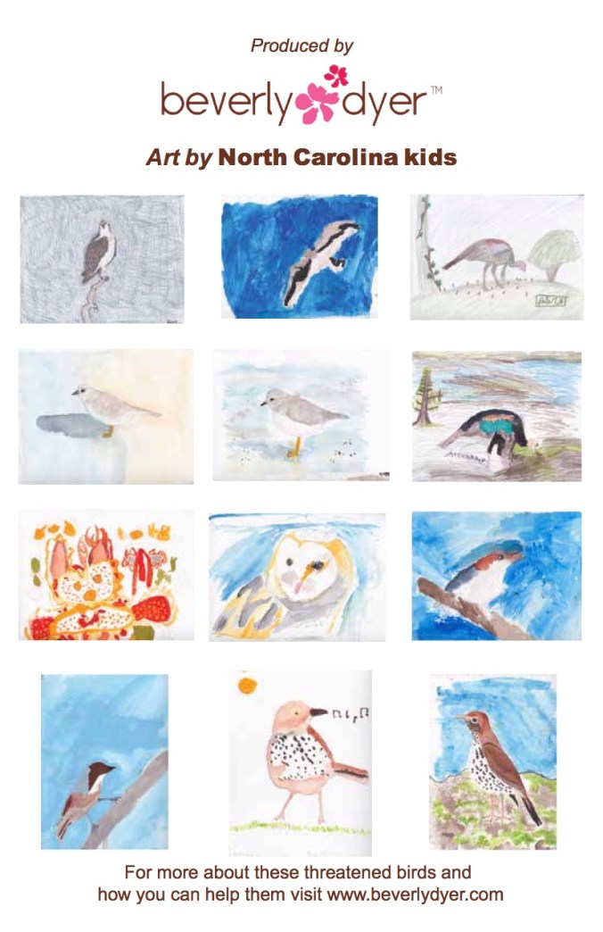 Endangered birds back card