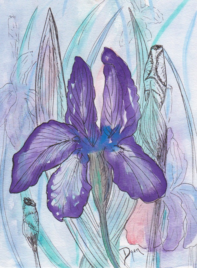 Floral 2018 Purple Iris
